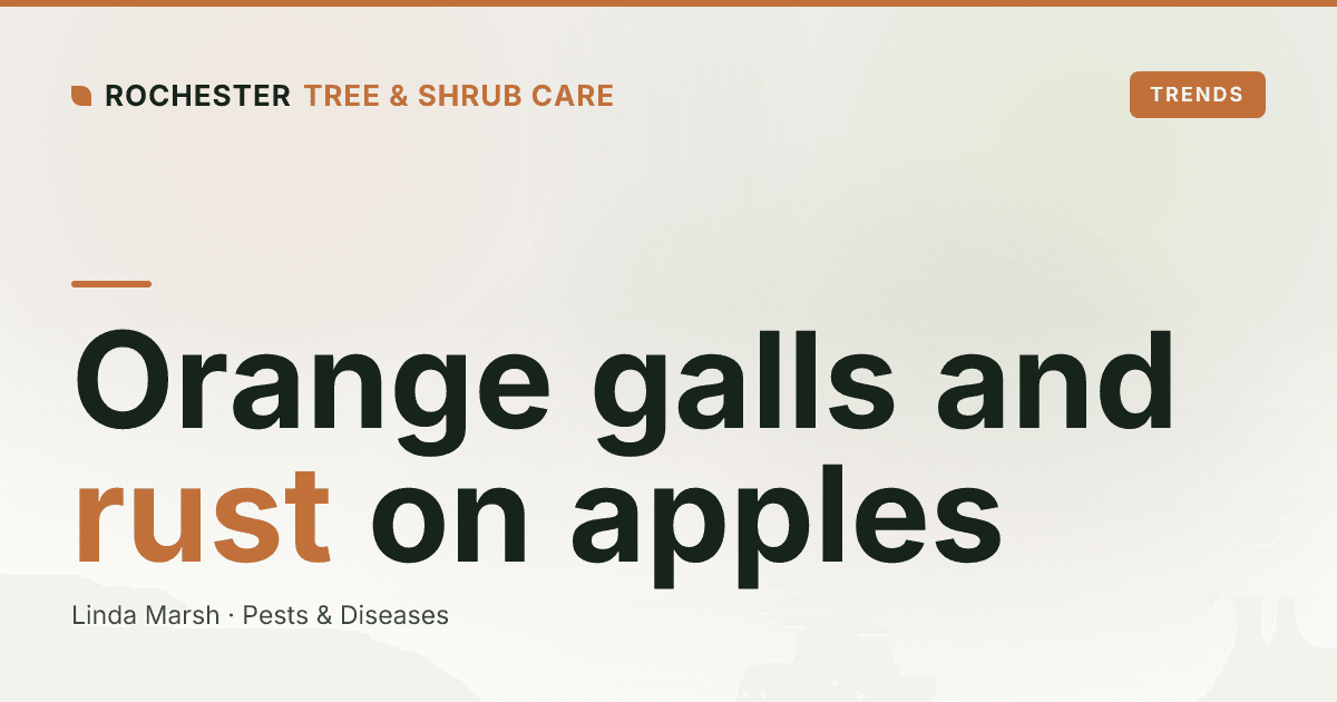 Orange Spots and Spiky Galls: Cedar-Apple Rust on Rochester Apples, Crabapples, and Junipers