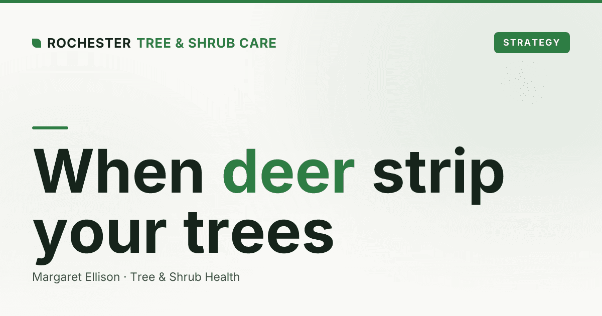 Deer and Vole Damage to Rochester Trees and Shrubs: Browsing, Rubbing, and Girdling