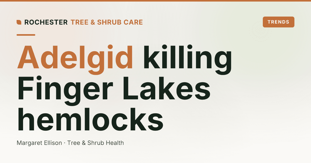Hemlock Woolly Adelgid in the Finger Lakes: Saving Your Eastern Hemlocks