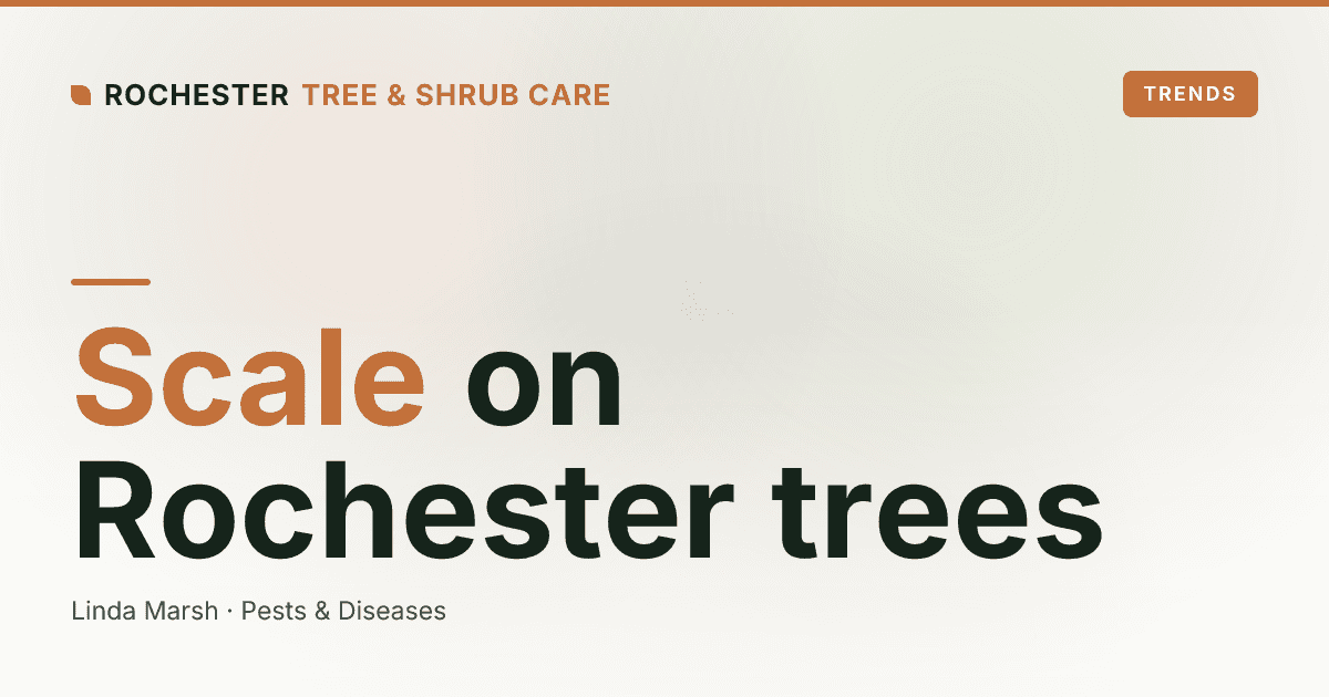 Soft Scale on Rochester Trees: White Bumps, Black Mold, and Sticky Leaves on Magnolia, Maple, and Oak