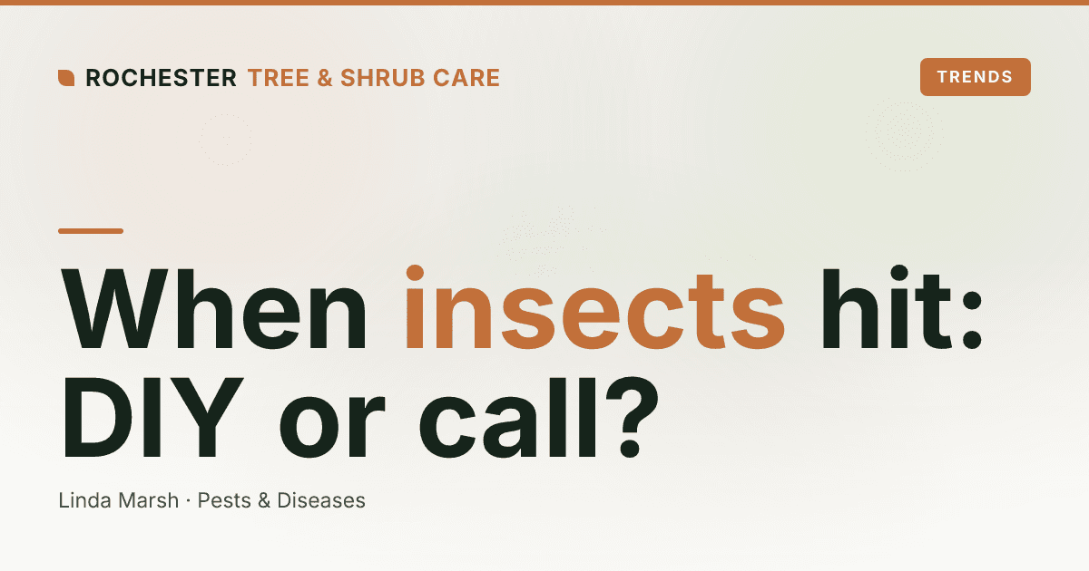 When to Call an Arborist for a Tree Insect Problem in Rochester (vs DIY)